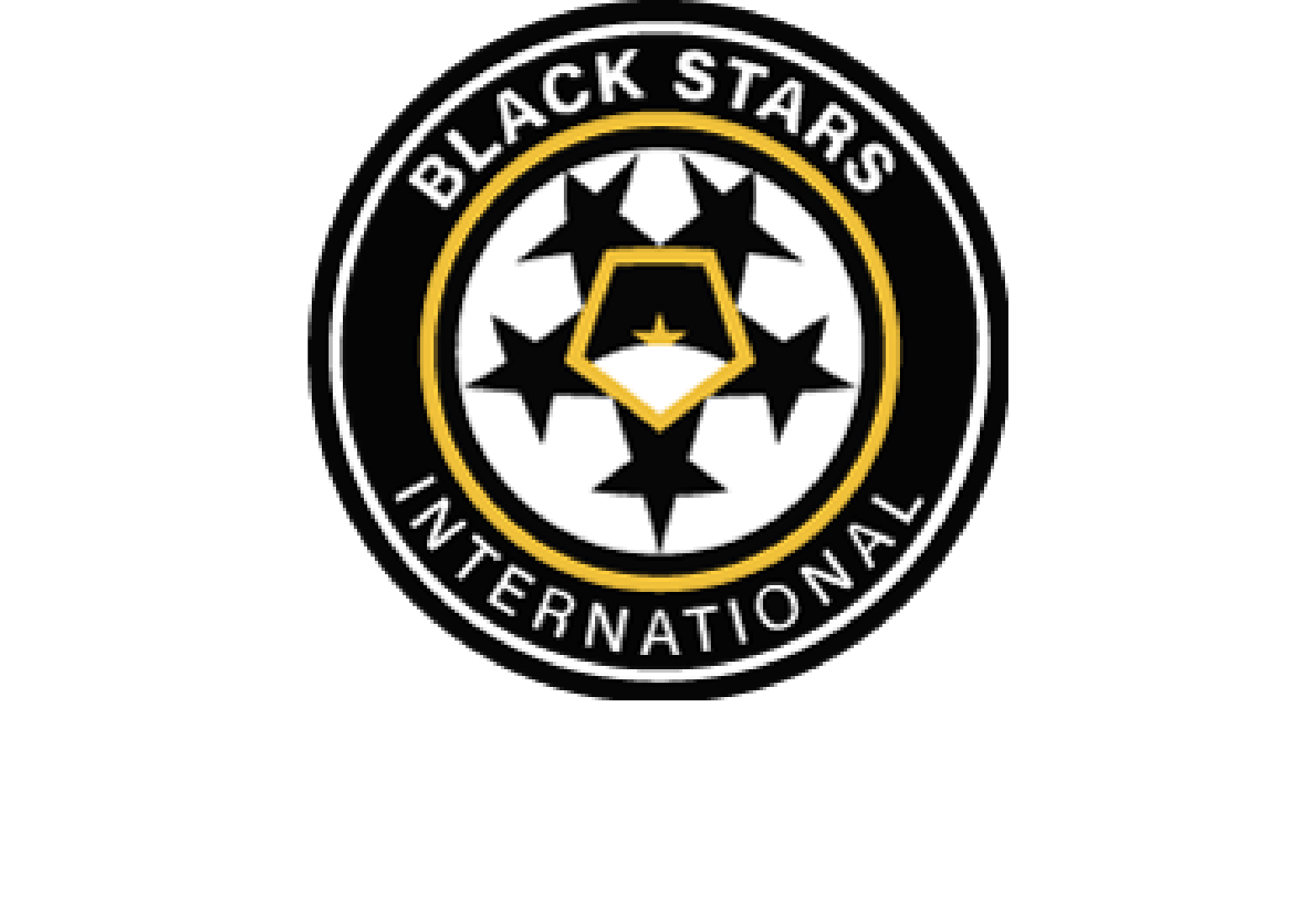 LOGO-BLACK-STAR-INTERNATIONAL-200+slogan BLACK STARS INTERNATIONAL